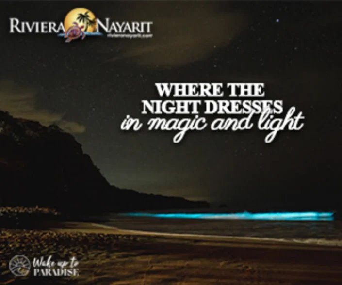 bioluminicencia-ingles-mar-de-jade-DAP-